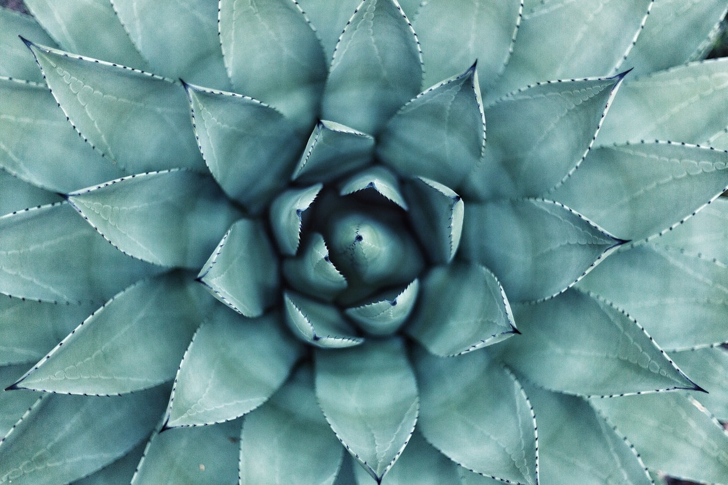 10 Ways Creativity Fuels Personal Growth